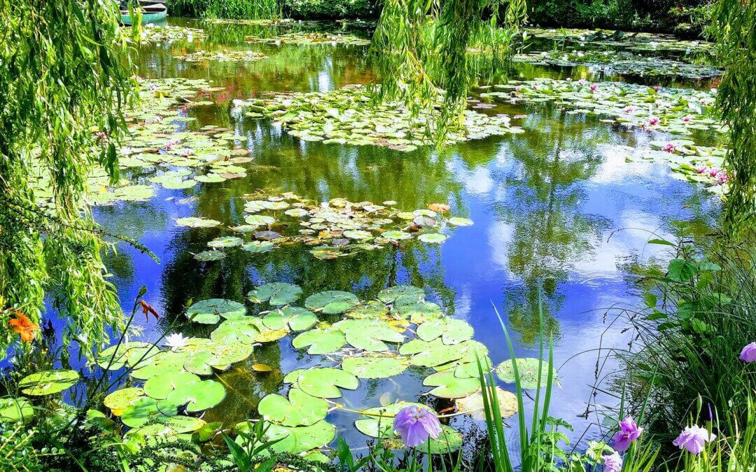 Monet’s Gardens at Giverny (GVY)